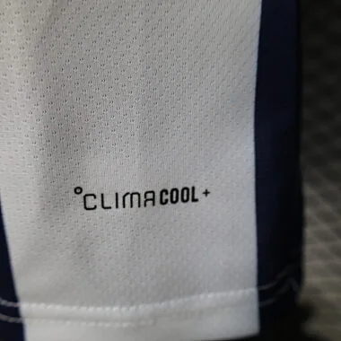 2026 Player Wales Special Edition Kit World Cup Cheap Football Jersey Wholesale Yupoo