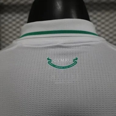 2026 Player Wales Away Kit S-4XL World Cup Cheap Football Jersey Wholesale Yupoo