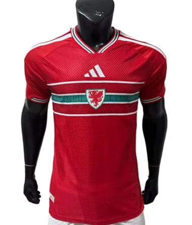 2026 Player Wales Home Kit S-4XL World Cup Cheap Football Jersey Wholesale Yupoo