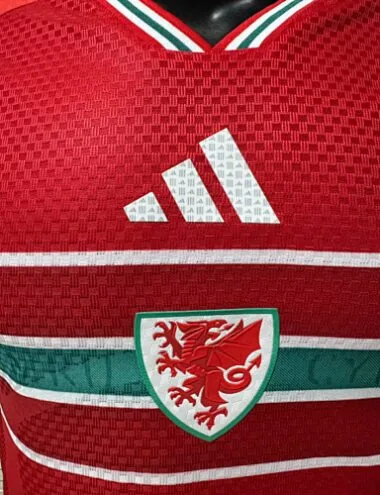 2026 Player Wales Home Kit S-4XL World Cup Cheap Football Jersey Wholesale Yupoo