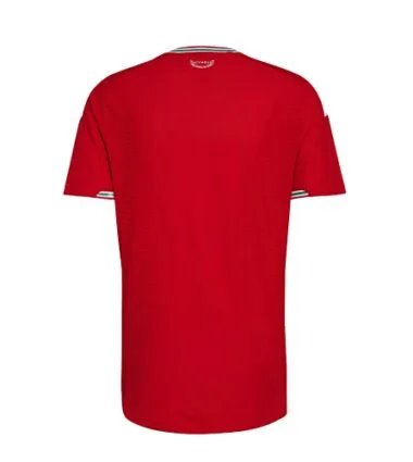 2026 Player Wales Home Kit S-4XL World Cup Cheap Football Jersey Wholesale Yupoo