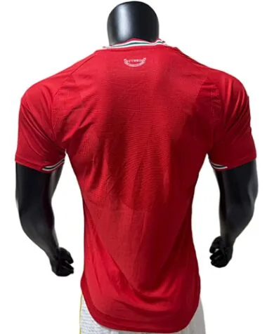 2026 Player Wales Home Kit S-4XL World Cup Cheap Football Jersey Wholesale Yupoo