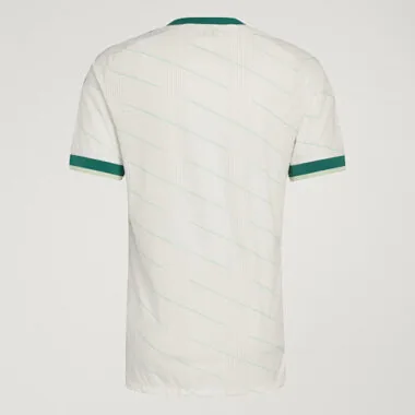 2026 Player Northern Ireland Away Kit S-4XL World Cup Cheap Football Jersey Wholesale Yupoo