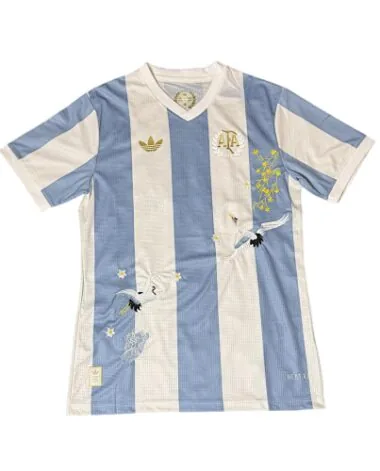 2026 Player Argentina Embroidery 50th Anniversary Kit Cheap Football Jersey Wholesale Yupoo
