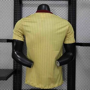25-26 Player Arsenal Terrace Icons Special Edition Kit Cheap Football Jersey Wholesale Yupoo