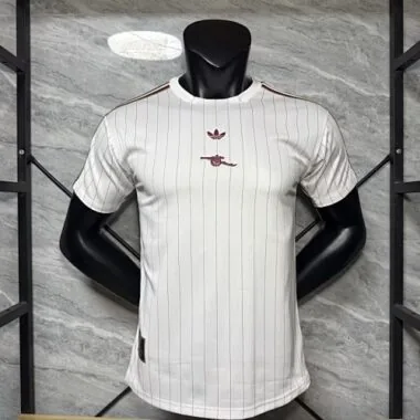 25-26 Player Arsenal Terrace Icons Special Edition Kit Cheap Football Jersey Wholesale Yupoo