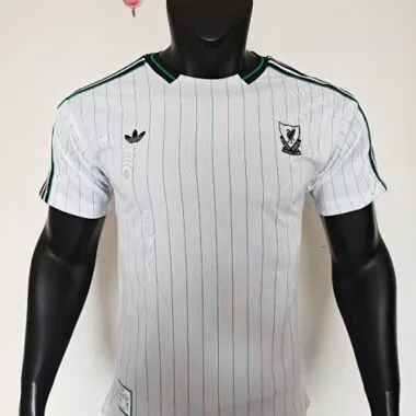 25-26 Player Liverpool Terrace Icons Special Edition Kit Cheap Football Jersey Wholesale Yupoo