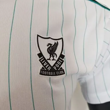 25-26 Player Liverpool Terrace Icons Special Edition Kit Cheap Football Jersey Wholesale Yupoo