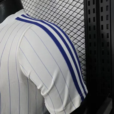 25-26 Player Chelsea Terrace Icons Special Edition Kit Cheap Football Jersey Wholesale Yupoo