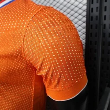 2025 Player Netherlands Home Kit Cheap Football Jersey Wholesale Yupoo