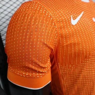 2025 Player Netherlands Home Kit Cheap Football Jersey Wholesale Yupoo