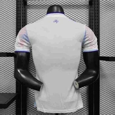 25-26 Player Aston Villa Third Away Kit Cheap Football Jersey Wholesale Yupoo