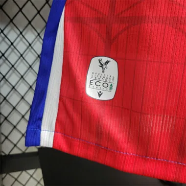 2023/24 The Crystal Palace Home Players Version Size