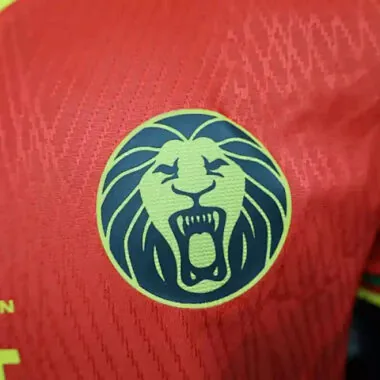 2025 Players Cameroon Away Kit