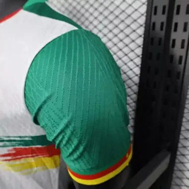 2025 Players Cameroon Third Away Kit S-2XL Cheap Football Jersey Wholesale Yupoo