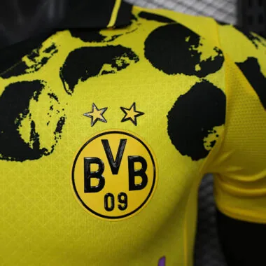 25-26 Player Dortmund Special Edition Kit S-2XL Cheap Football Jersey Wholesale Yupoo