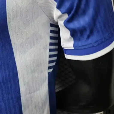 25-26 Players Porto Home Kit S-3XL Cheap Football Jersey Wholesale Yupoo