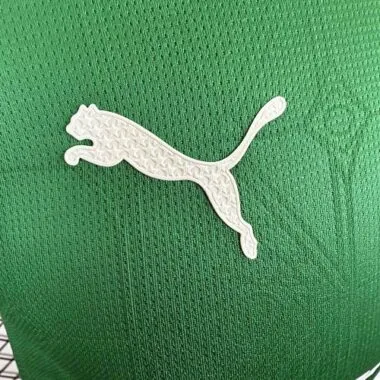 2025/26 Player Palmeiras Home