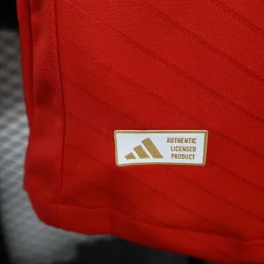 24-25 Benfica Home Kit Player Version Shirt