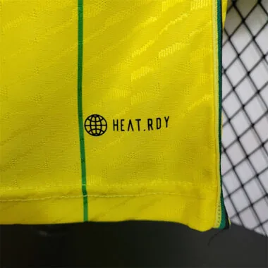 2024 Jamaica Home Kit Player Version Shirt Best Jerseys Yupoo