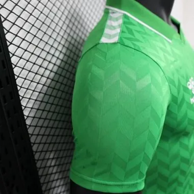 2023/24 Real Betis away Player version