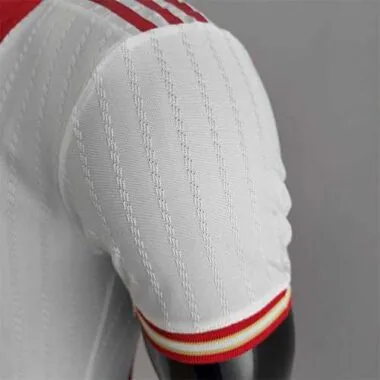 22-23 Ajax home player version