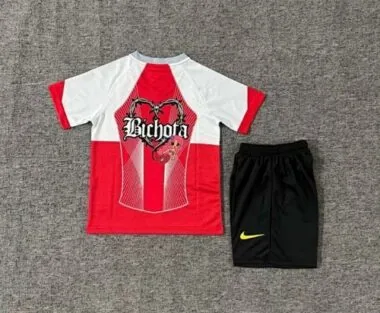 25-26 Kids Barcelona Special Edition Kit Cheap Football Jersey Wholesale Yupoo