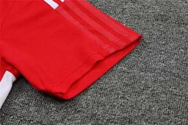 Polo Ajax red