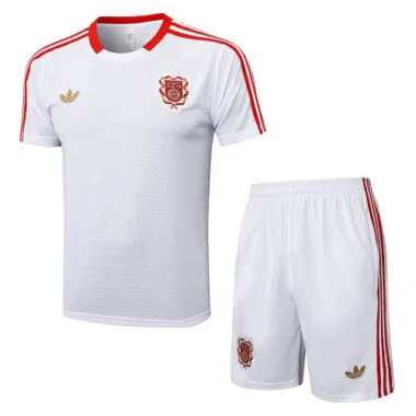 25-26 Bayern Training Kits Tracksuits Cheap Jersey Wholesale Yupoo