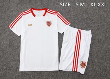 25-26 Bayern Training Kits Tracksuits Cheap Jersey Wholesale Yupoo