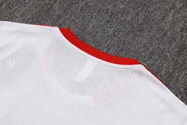 25-26 Bayern Training Kits Tracksuits Cheap Jersey Wholesale Yupoo