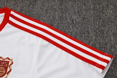 25-26 Bayern Training Kits Tracksuits Cheap Jersey Wholesale Yupoo