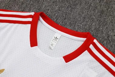 25-26 Bayern Training Kits Tracksuits Cheap Jersey Wholesale Yupoo