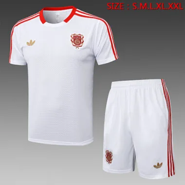 25-26 Bayern Training Kits Tracksuits Cheap Jersey Wholesale Yupoo