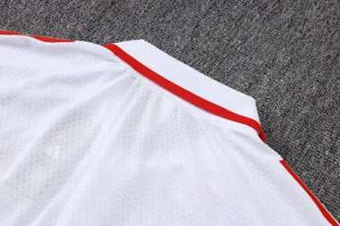 25-26 Bayern Training Kits Polo Tracksuits Cheap Jersey Wholesale Yupoo