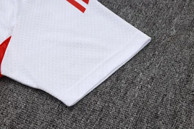 25-26 Bayern Training Kits Polo Tracksuits Cheap Jersey Wholesale Yupoo
