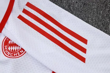 25-26 Bayern Training Kits Polo Tracksuits Cheap Jersey Wholesale Yupoo