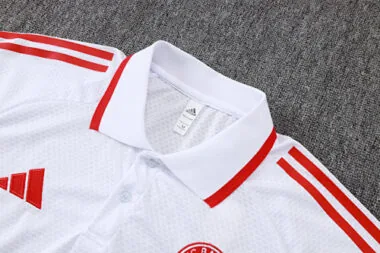 25-26 Bayern Training Kits Polo Tracksuits Cheap Jersey Wholesale Yupoo