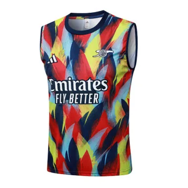 25-26 Arsenal Sleeveless Training Kits Tracksuits Cheap Football Jersey Wholesale Yupoo
