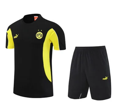 25-26 Dortmund Training Kits Football Tracksuits Cheap Football Jersey Wholesale Yupoo