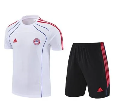 25-26 Bayern Training Kits Football Tracksuits Cheap Football Jersey Wholesale Yupoo
