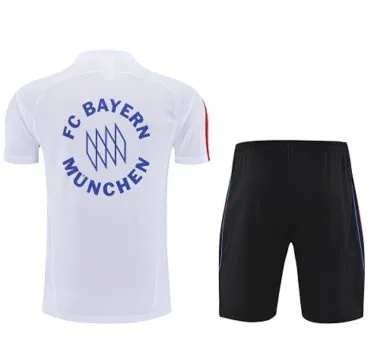 25-26 Bayern Training Kits Football Tracksuits Cheap Football Jersey Wholesale Yupoo