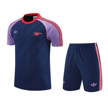 25-26 Arsenal Training Kits Football Tracksuits Cheap Football Jersey Wholesale Yupoo