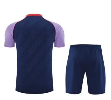 25-26 Arsenal Training Kits Football Tracksuits Cheap Football Jersey Wholesale Yupoo