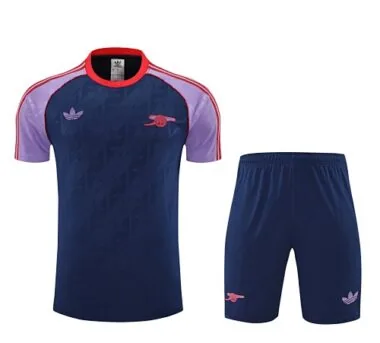 25-26 Arsenal Training Kits Football Tracksuits Cheap Football Jersey Wholesale Yupoo