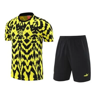 25-26 Dortmund Training Kits Football Tracksuits Cheap Football Jersey Wholesale Yupoo