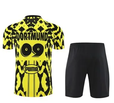 25-26 Dortmund Training Kits Football Tracksuits Cheap Football Jersey Wholesale Yupoo