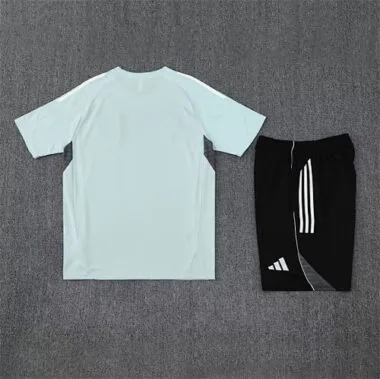 25-26 Japan Light Training Kits Football Tracksuits Cheap Football Jersey Wholesale Yupoo