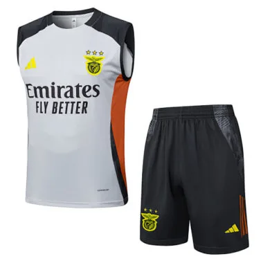 25-26 Benfica Grey Training Kits Football Vest Suits Cheap Football Jersey Wholesale Yupoo
