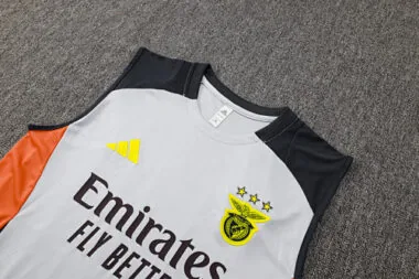 25-26 Benfica Grey Training Kits Football Vest Suits Cheap Football Jersey Wholesale Yupoo